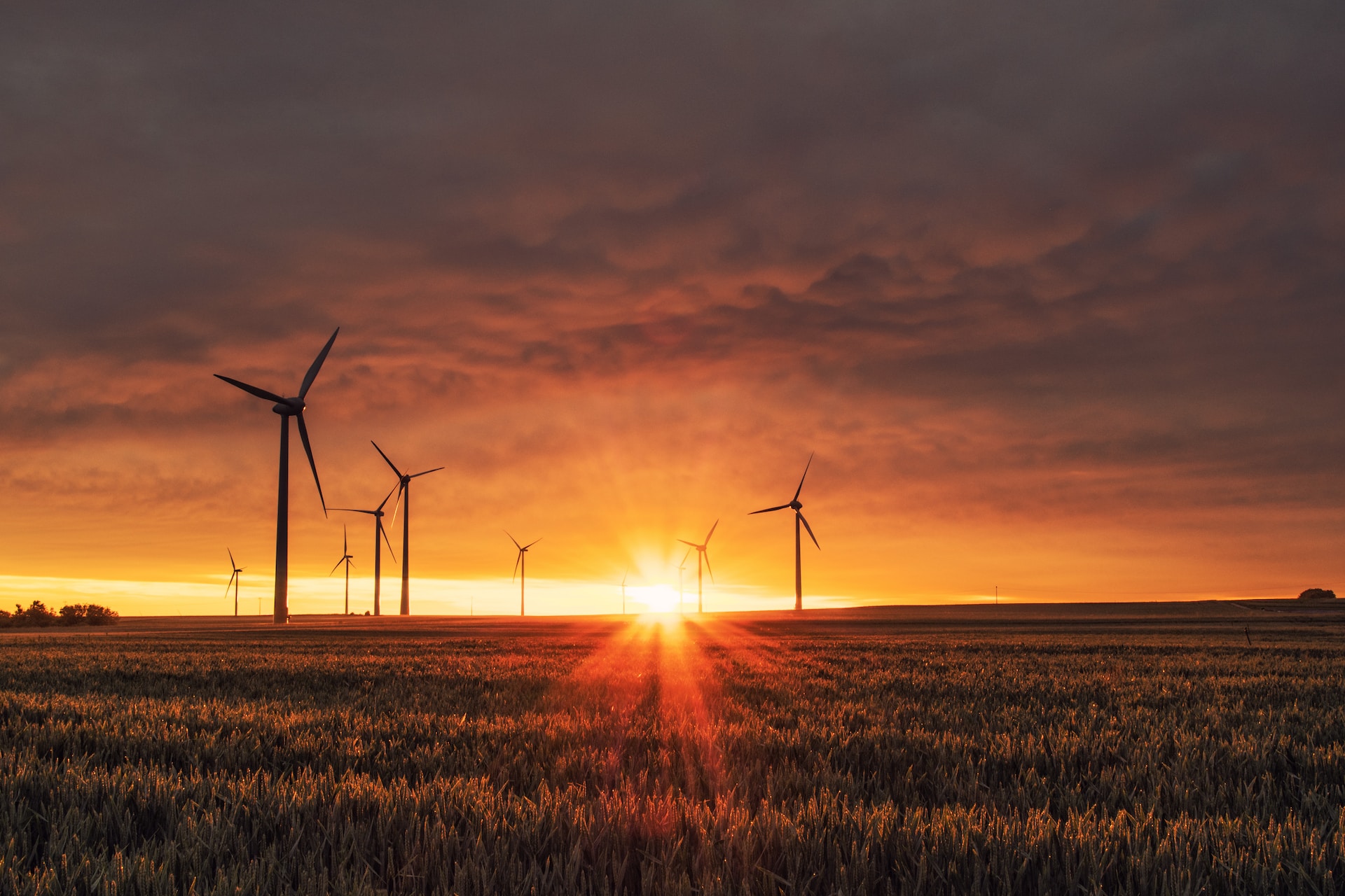 Sell Renewable Electricity — PPAs with F&S Energy